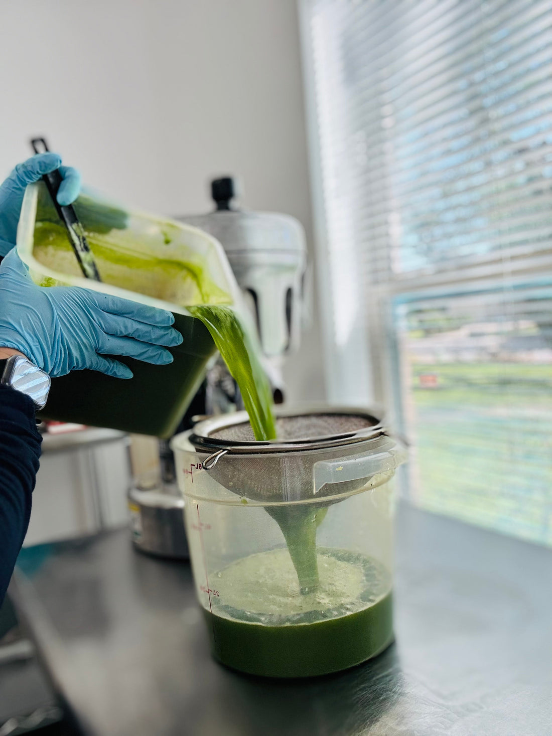 The Power of Green Juice